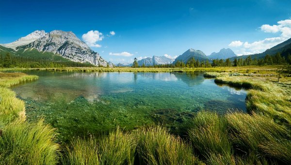 Peut-on trouver une maison de vacances en Bretagne avec des cours de cuisine et des balades en forêt?